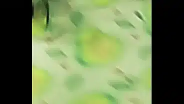 Vídeo caliente