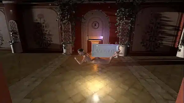 Vídeo de verificación