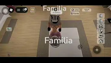Vídeo de verificación