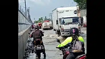 Vídeo de verificación