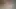 Amateur sex with big cumshot in wife’s pussy
