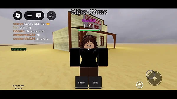 Anim Testing