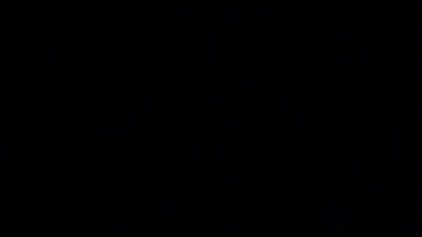 認証動画