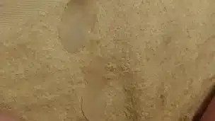 Me cumming :v (May)