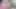 MY LITTLE SISTER GETS UP FROM HER BED GIVING ME A GOOD BLOWJOB TO MY PENIS MORNING SEX – PORN IN SPANISH-.