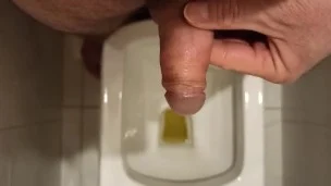 The guy jerks off after pissing.