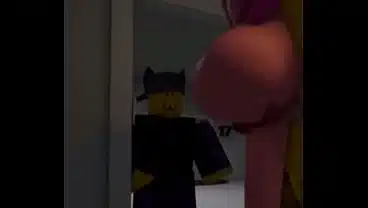 Vídeo de verificación
