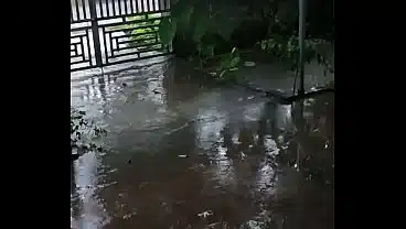 Video xác minh