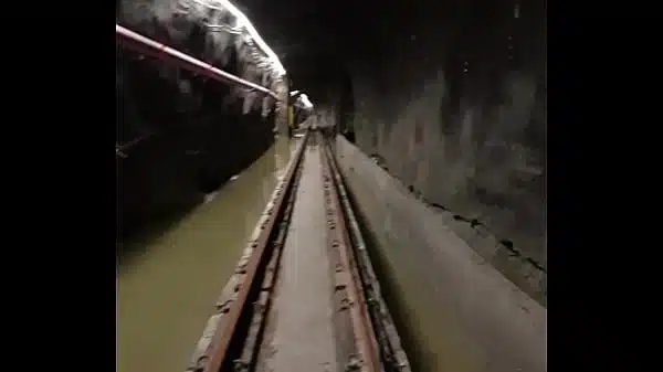 Видео для верификации