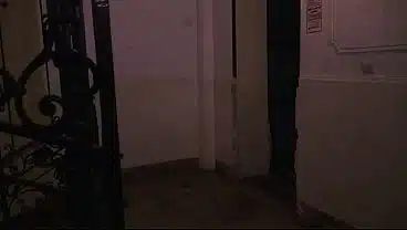 STALKER 3