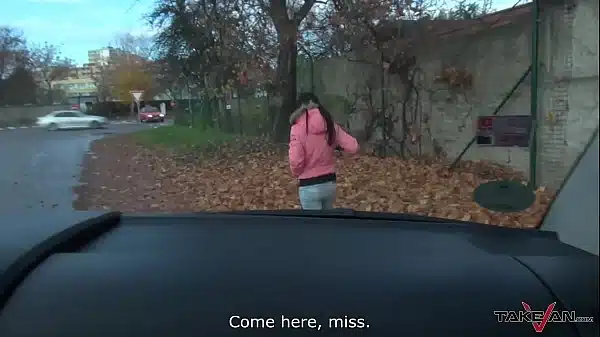 Street pickup and car sex