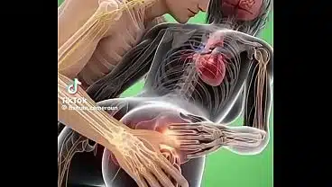 Video de vérification