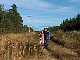 Casual country sex in the open
