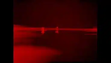Private Films n. 3 : vintage sixties lovers hardcore sex close up