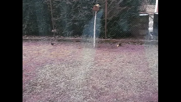 V přírodě
